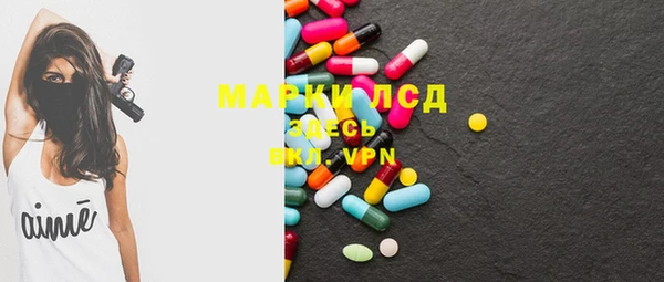 прущие грибы Вяземский