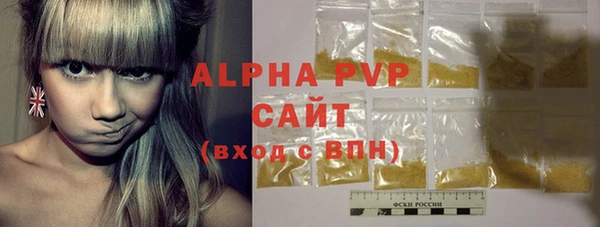индика Вязники