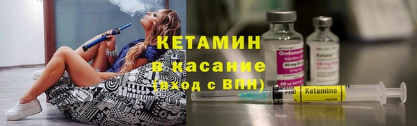 гидра Гусев