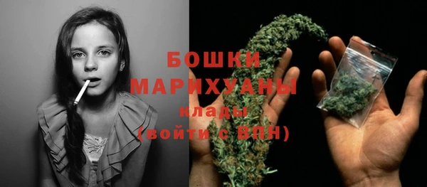 индика Вязники
