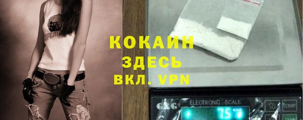 бошки Вязьма