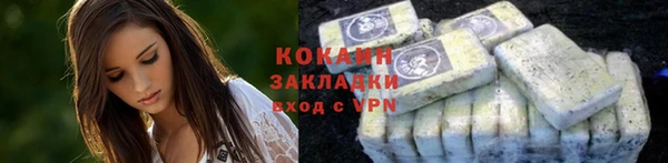 индика Вязники