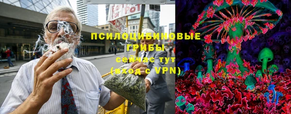 бошки Вязьма