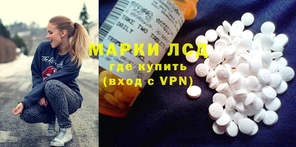 прущие грибы Вяземский
