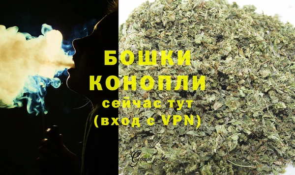 прущие грибы Вяземский