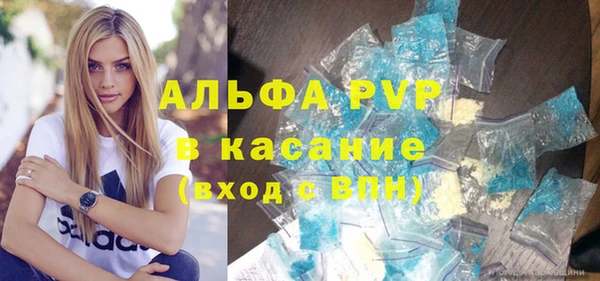 прущие грибы Вяземский