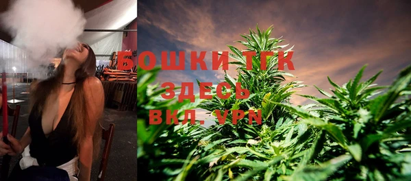 прущие грибы Вяземский