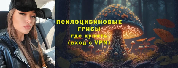 бошки Вязьма