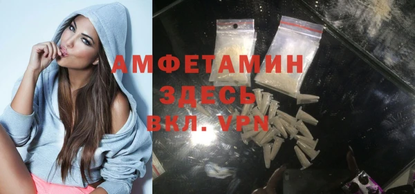 индика Вязники