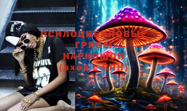 бошки Вязьма