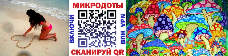 darknet как зайти  Ершов  Галлюциногенные грибы Psilocybine cubensis  купить наркотики сайты 